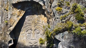 A large rock formation with a carved face, surrounded by water and vegetation. - Annandale Accommodation (Taupo)