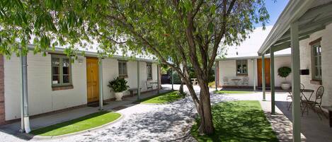 A courtyard with a tree, a building with a door, and a small garden area.