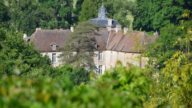 A large, historic building with a prominent tower and multiple windows, surrounded by lush greenery.