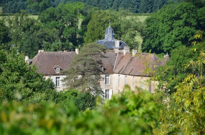 Burgundy traditional cottage with a vast flower garden to enjoy nature & calm