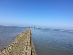 Nära stranden