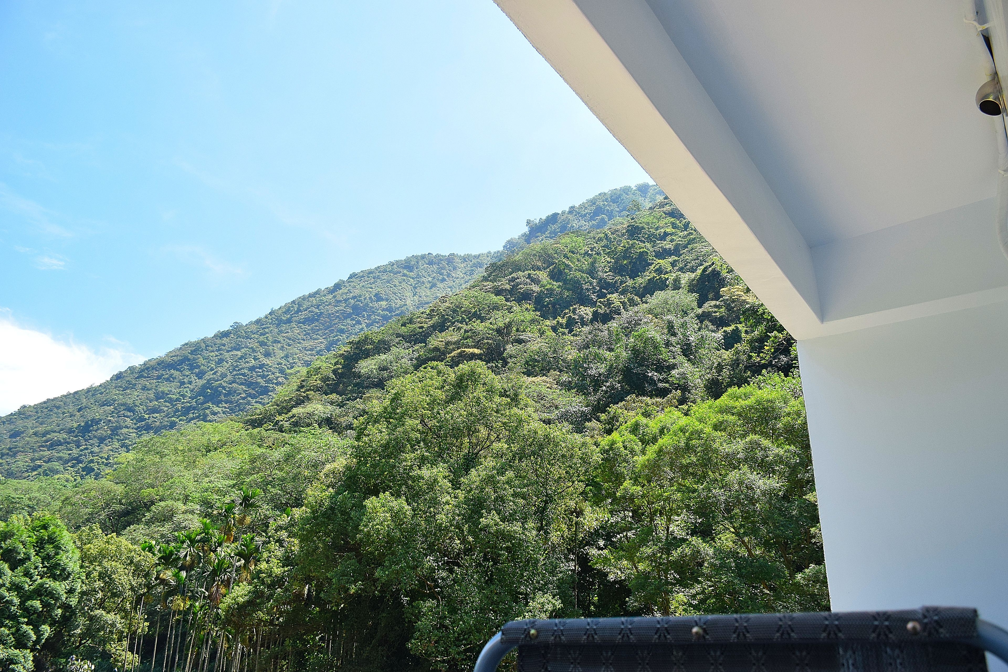 A view of a lush green forested mountain from a balcony.
