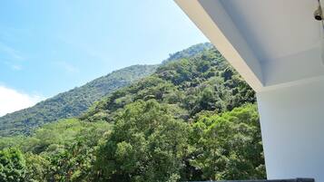 A view of a lush green forested mountain from a balcony.