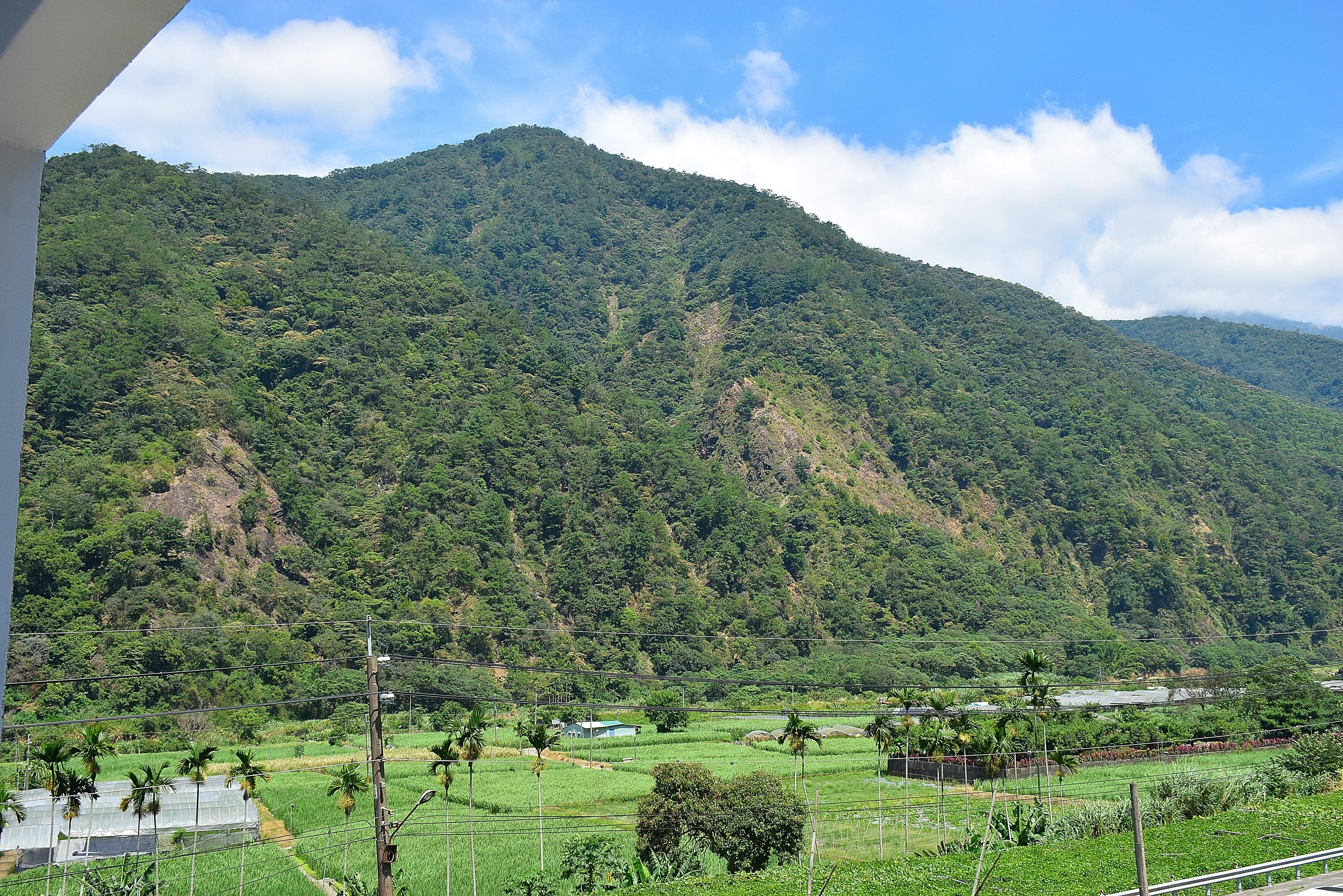 Un paisaje verde exuberante con una montaña al fondo y un cielo despejado.