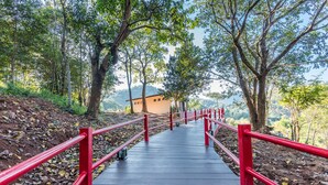 Un sendero de madera con barandillas rojas que lleva a un edificio rodeado de árboles.