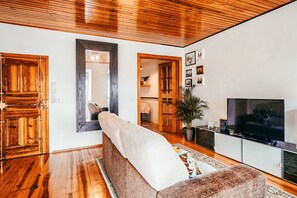 Fernseher