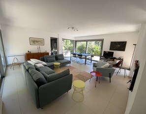 TV connectée, cheminée, lecteur de DVD, livres