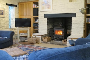 TV, fireplace