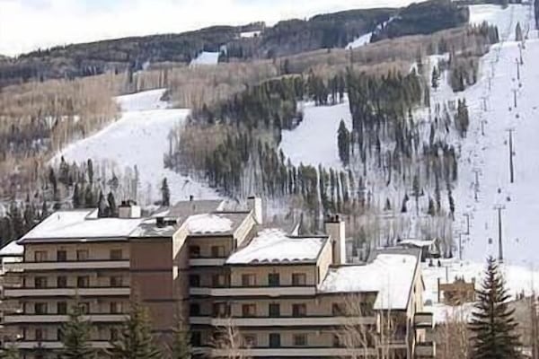 Vantage Point Building looking towards the mountain