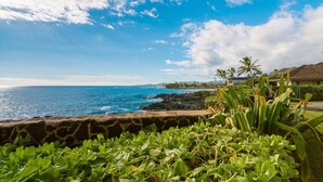 Une vue sur la côte, avec un ciel dégagé, un mur de pierre et des plantes tropicales.