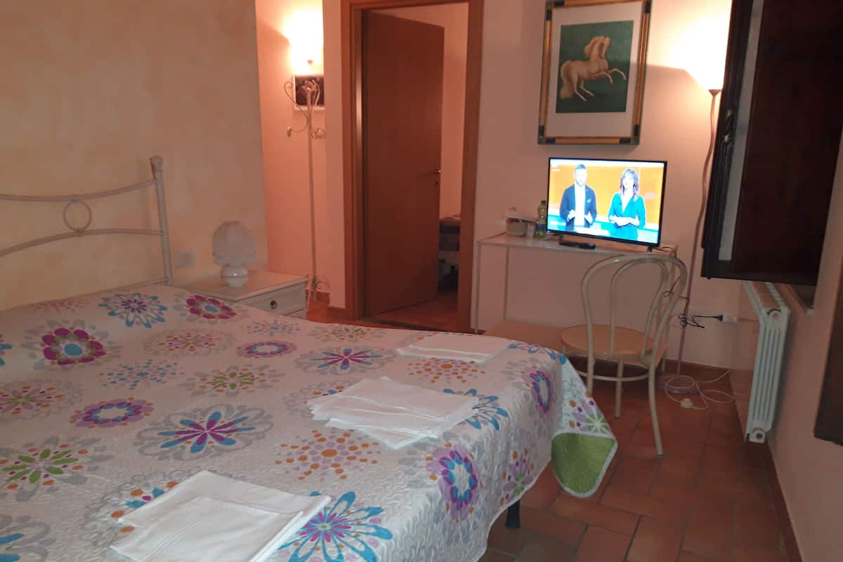 A bedroom with a bed, a desk, a chair, a television, and a radiator.