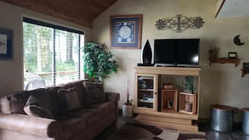 智能电视、壁炉、书