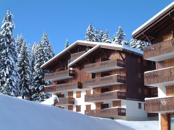 A multi-story wooden building with balconies, surrounded by snow-covered trees.