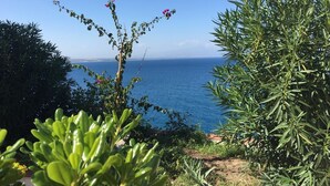 A coastal garden with a view of the sea, featuring various plants and a clear sky.