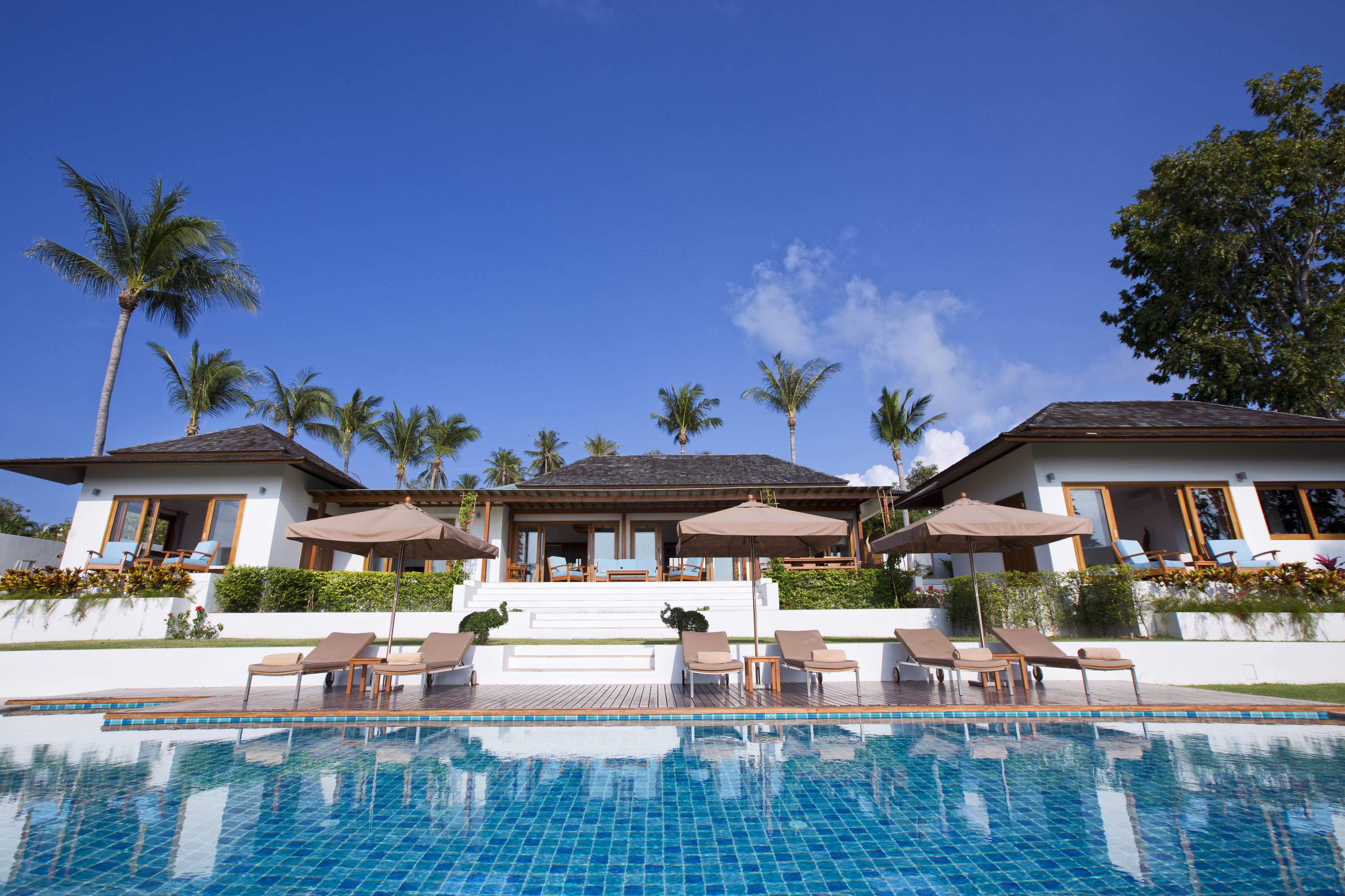 Un resort con piscina, sillas de descanso y palmeras.