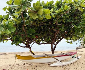 A beach with a tree and a rowboat. - Panoramic Ocean/Mountain View Apartment  (Mākaha)