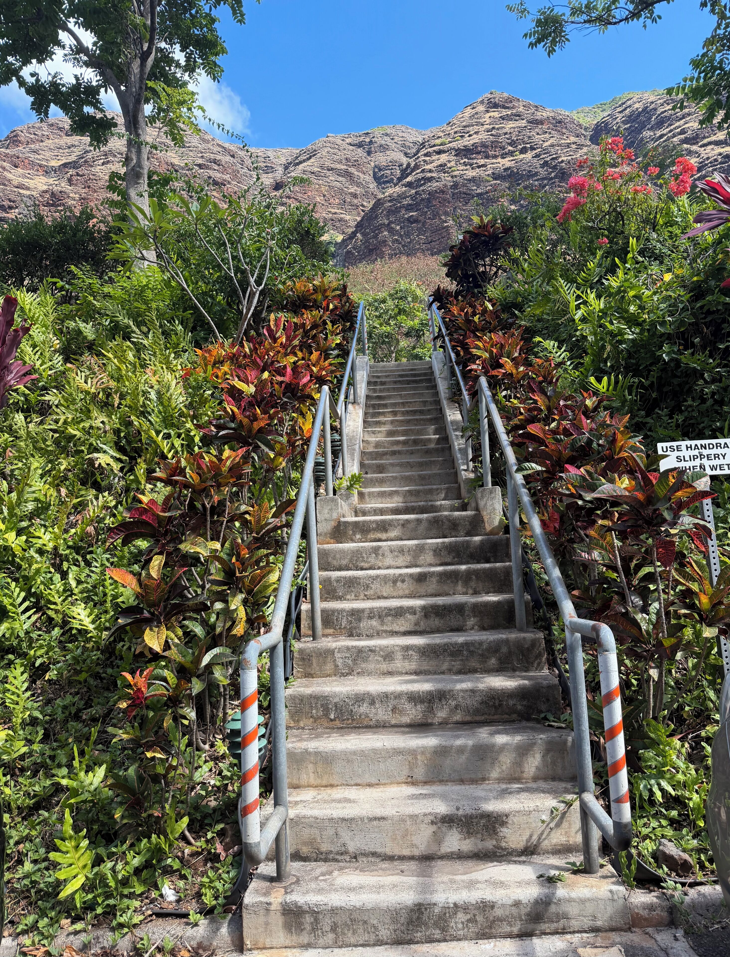 A concrete staircase with metal railings, surrounded by lush greenery and a mountainous backdrop.