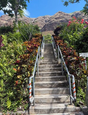 A concrete staircase with metal railings, surrounded by lush greenery and a mountainous backdrop. - Panoramic Ocean/Mountain View Apartment  (Mākaha)