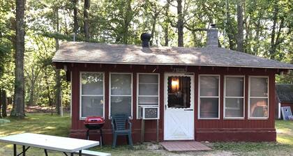 Viihtyisä "Up North" -mökki metsässä Pentwater Lake -julkisivulla ja pääsyllä