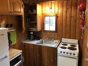 Fridge, microwave, oven, stovetop - Cozy "Up North" Cabin in the woods with Pentwater Lake frontage and access (Pentwater)