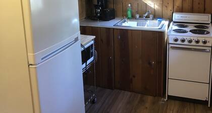 Cabine confortable "Up North" dans les bois avec façade et accÚs au lac Pentwater