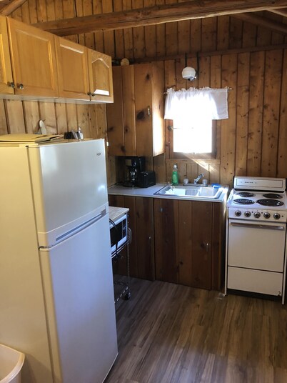 Cozy "Up North" Cabin in the woods with Pentwater Lake frontage and access