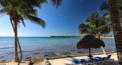 Beachfront+Snorkeling+Stunning Pool+Gardens & Art!