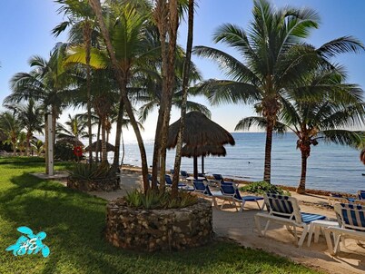 Beachfront, Stunning Huge Pool, Great Internet