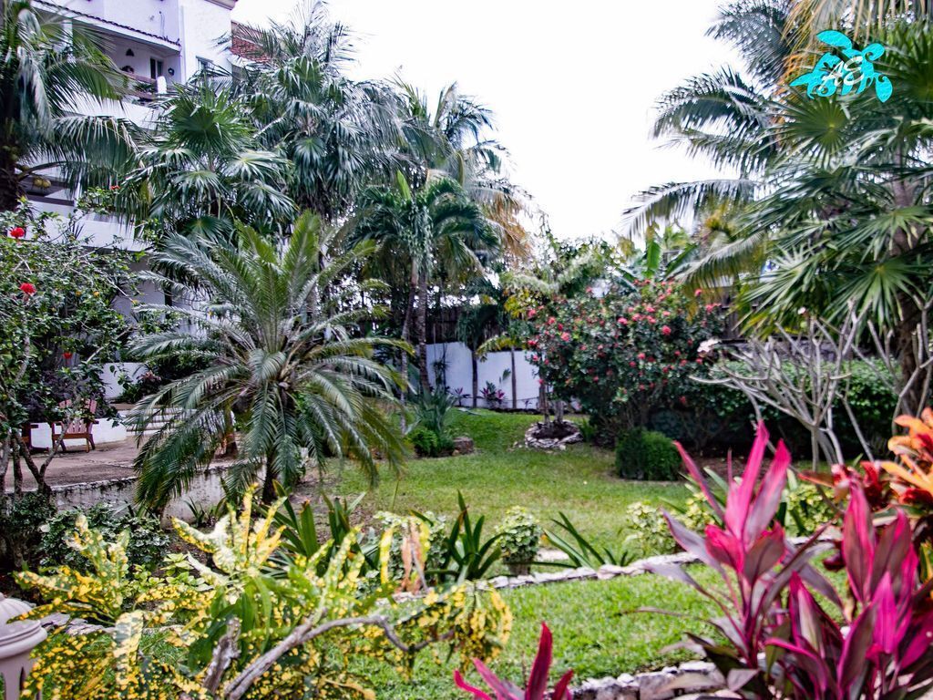 A lush garden with palm trees and various plants.