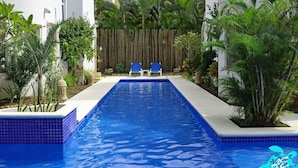 Une piscine rectangulaire aux carreaux bleus, entourée de murs blancs et de plantes tropicales.