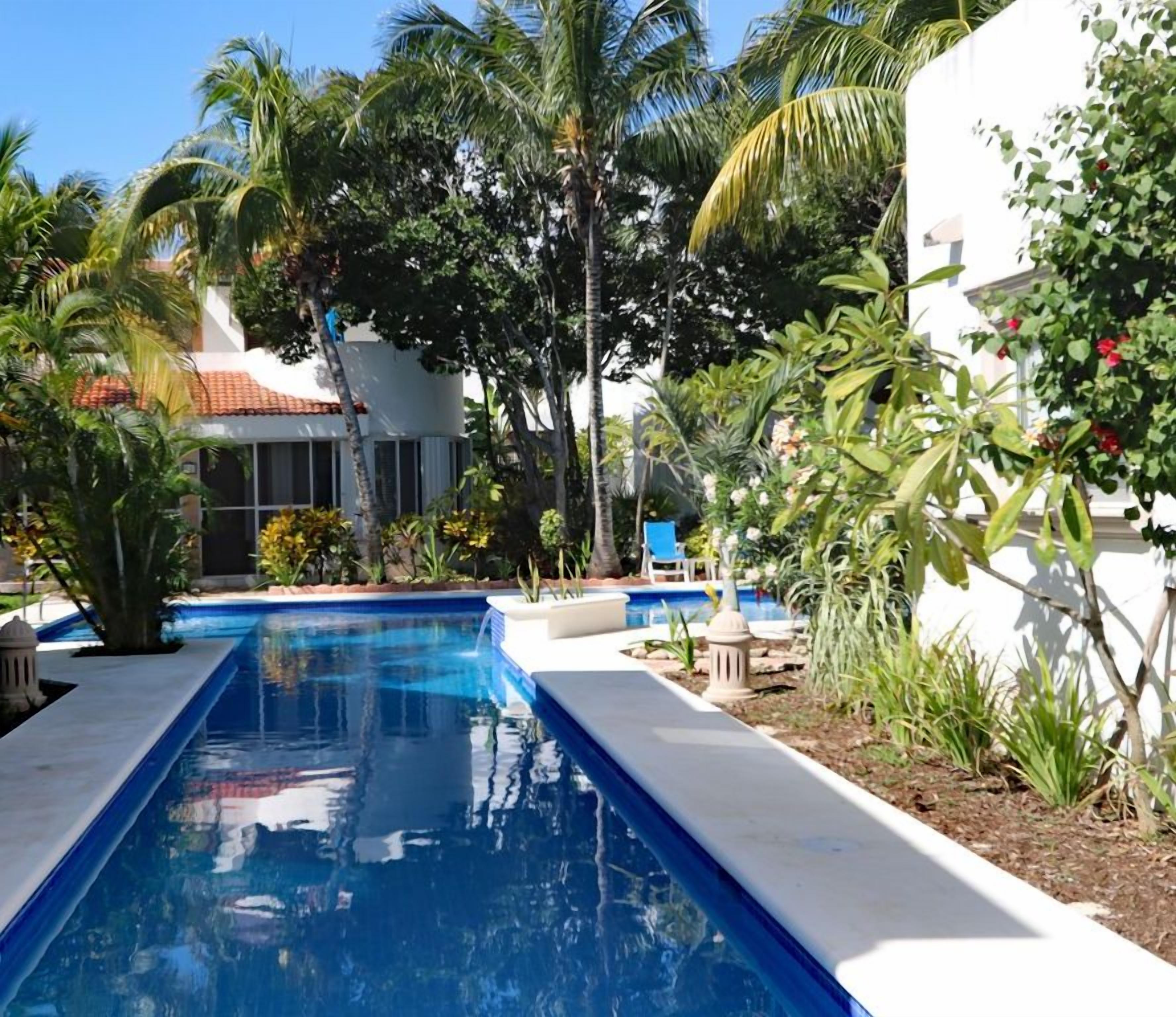 A swimming pool with a white deck, surrounded by palm trees and various plants.