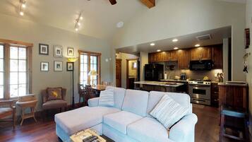 TV, fireplace, DVD player, books