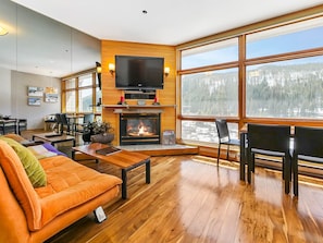 TV, fireplace