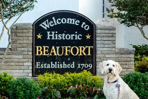 Terrein van de accommodatie