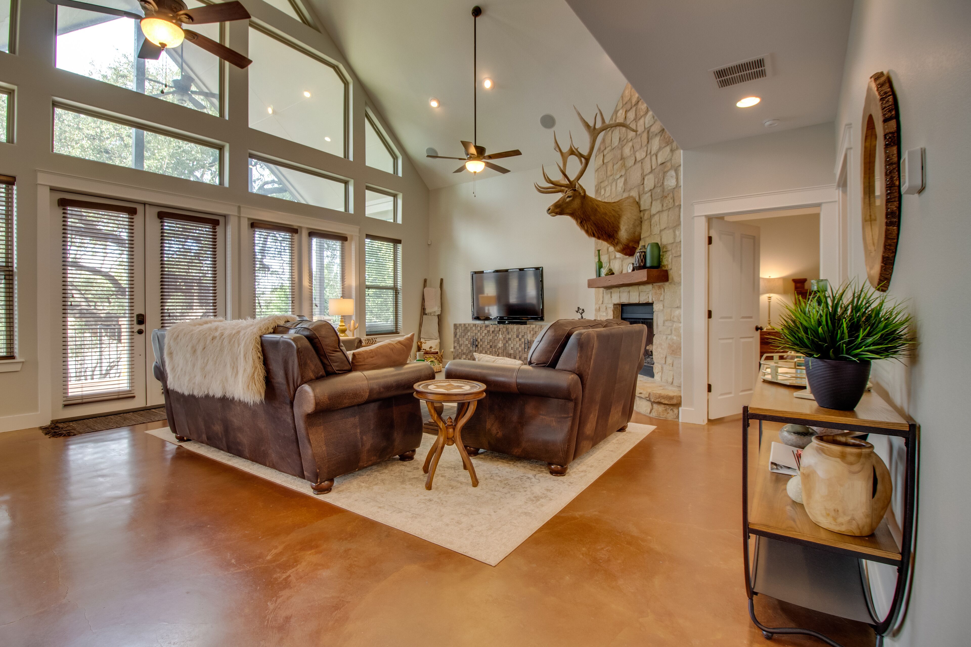 Televisio, DVD-soitin, pöytätennispöytä