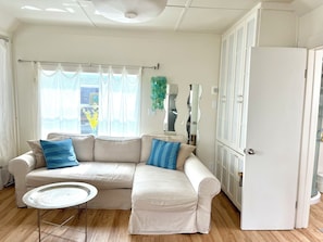 Smart TV, DVD player, books, video library