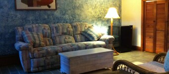 Sunny , cozy 1-bedroom, wooded, private, central Island location, close to ocean