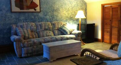 Sunny , cozy 1-bedroom, wooded, private, central Island location, close to ocean
