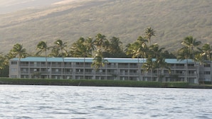 Ein Hotel mit langgestrecktem Bau, mehreren Etagen und einem begrünten Dach, in der Nähe von Gewässer mit Palmen im Hintergrund.