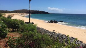 Ein Strand mit einer Palme, felsigem Ufer und blauem Himmel.