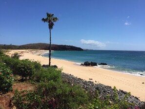 Plage, chaises longues, serviettes de plage