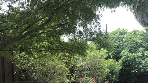 Un jardín con un sendero de grava, bordes de ladrillo y diversas plantas, incluyendo un pequeño árbol con flores rojas.
