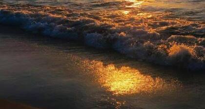 Michiana Apartment #2: Two bedroom one bath apartment in downtown South Haven!