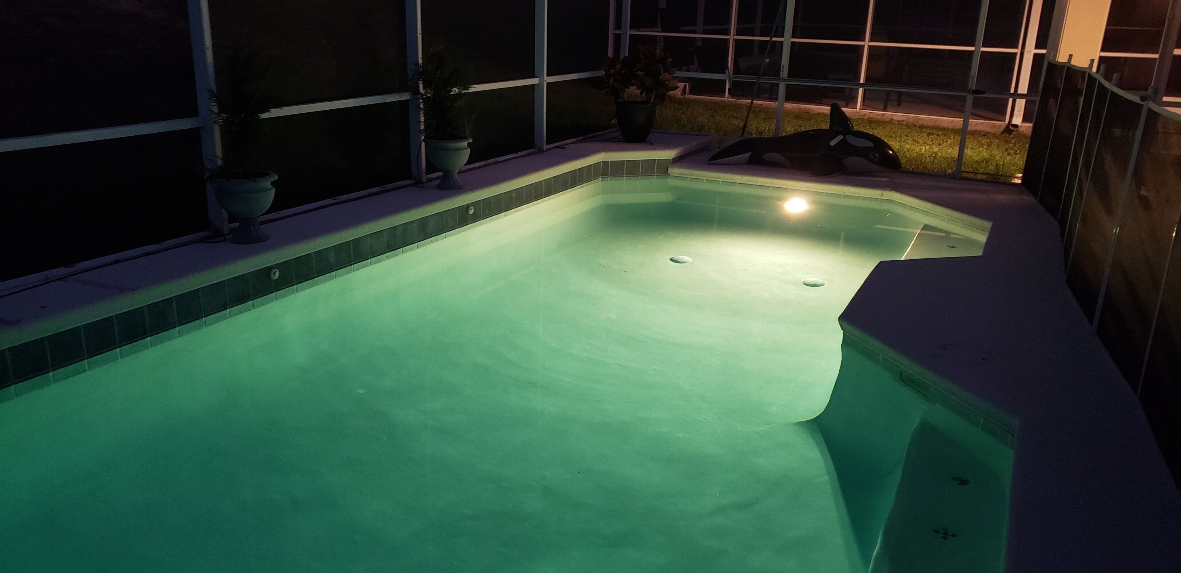 Una piscina con un ligero tono verdoso, rodeada por un suelo de baldosas y plantas en macetas.