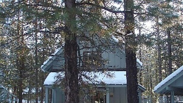 A cabin with a porch, surrounded by trees and covered in snow.