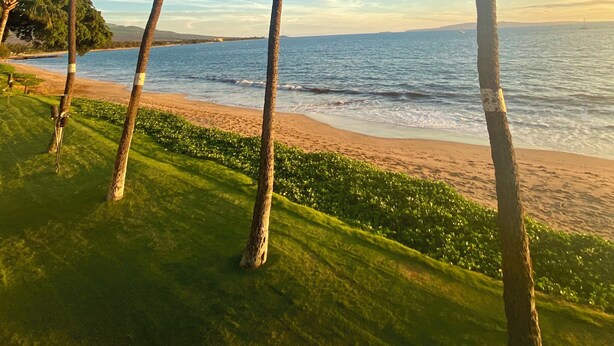 A beach with palm trees and a clear sky. - Stunning Beach Front Townhouse (Kihei)