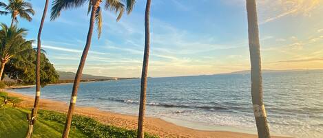 On the beach, sun-loungers, beach towels