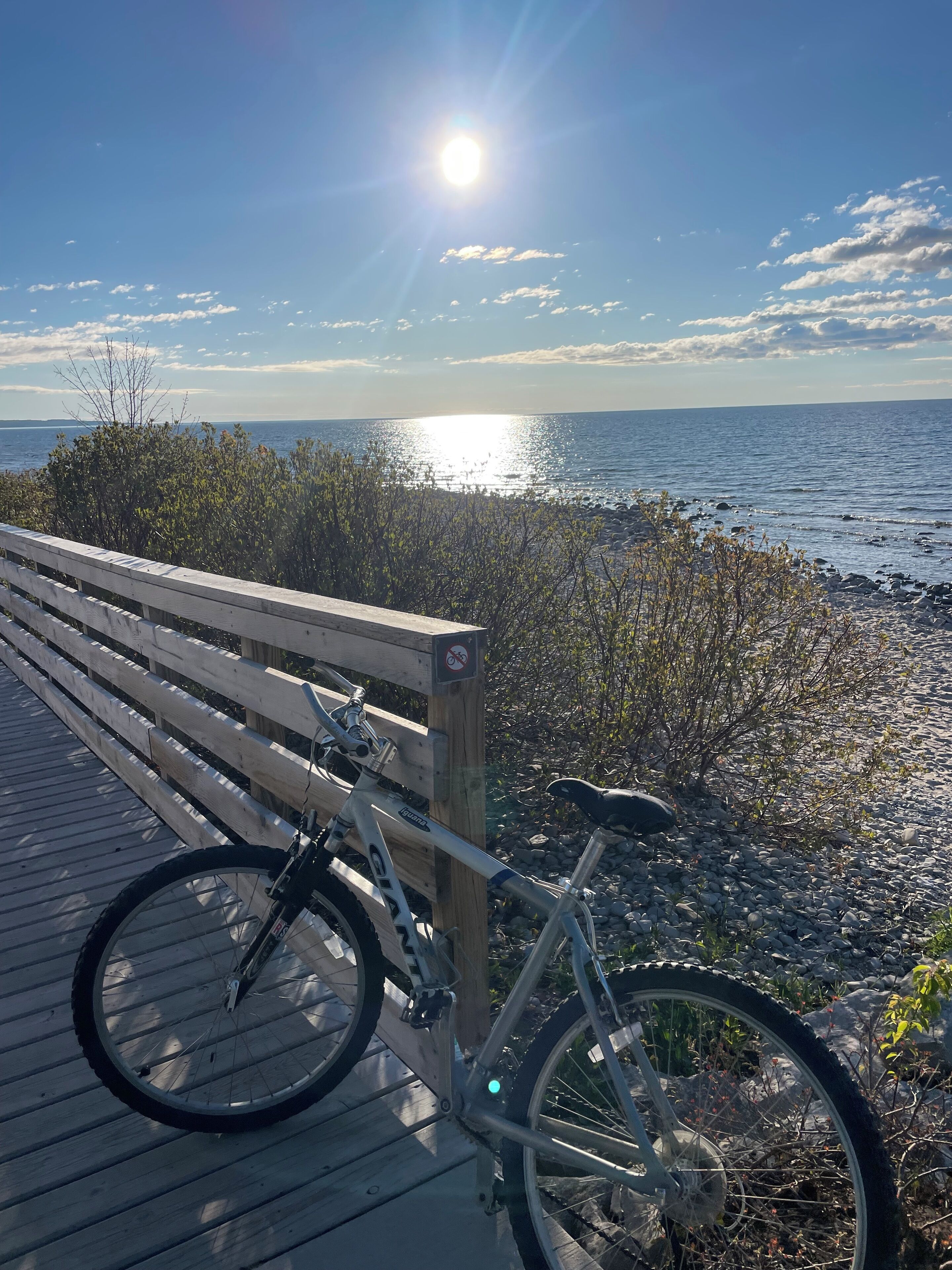 Chaises longues, serviettes de plage