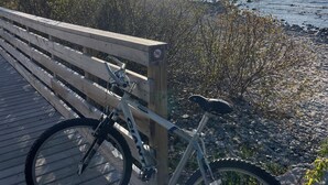 Uklassifisert bilde, 4 av 49, knapp