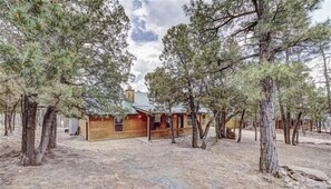 A wooden cabin surrounded by pine trees in a natural setting.